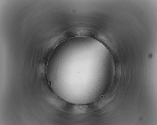 X0000092100571200709191309