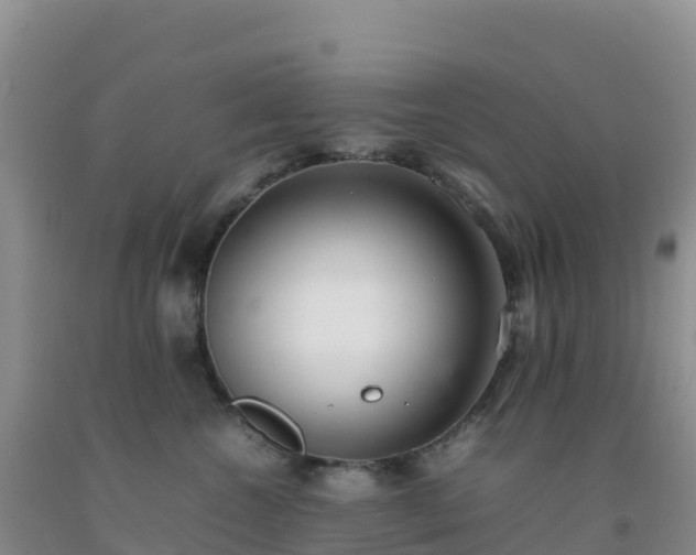 X0000092100572200709191309