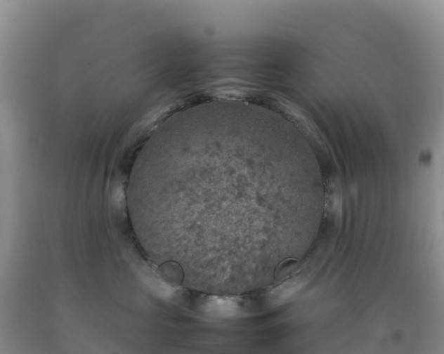 X0000092100573200709191309