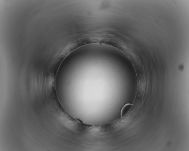 X0000092100574200709191309