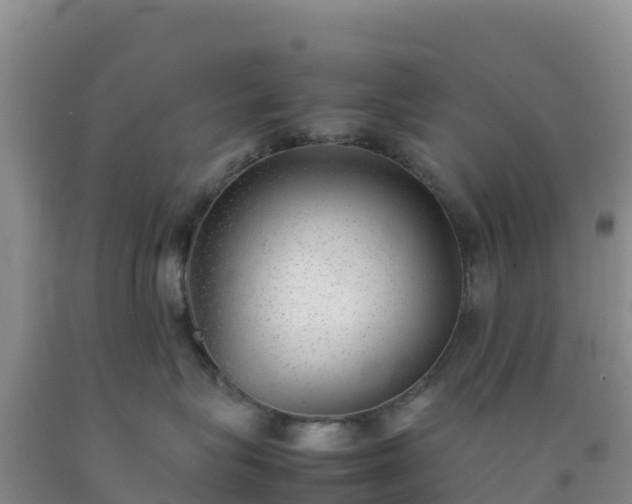 X0000092100575200709191309