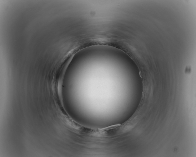 X0000092100576200709191309