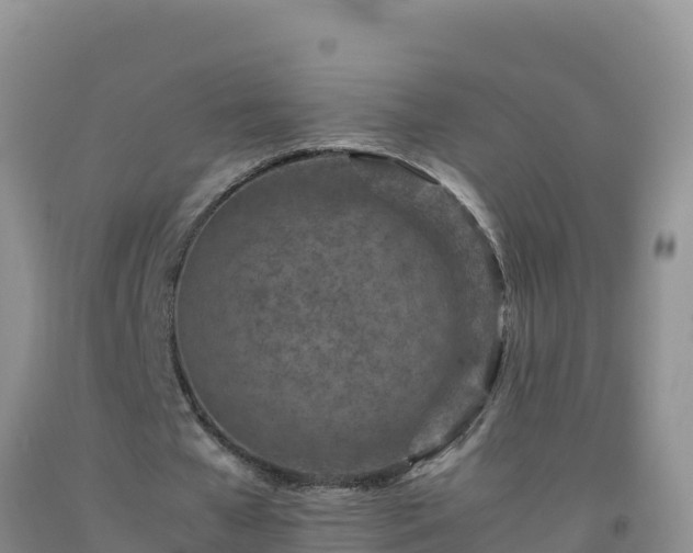 X0000092100577200709191309