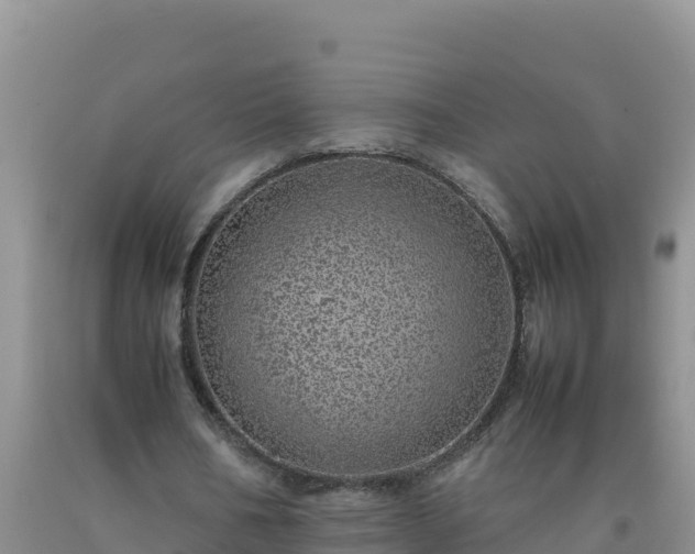 X0000092100578200709191309