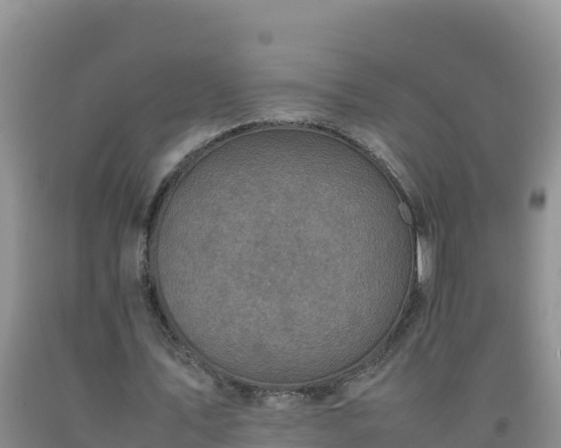 X0000092100579200709191309