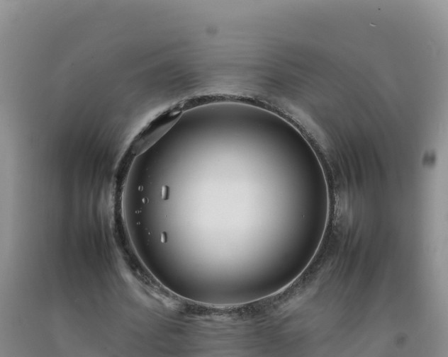 X0000092100580200709191309