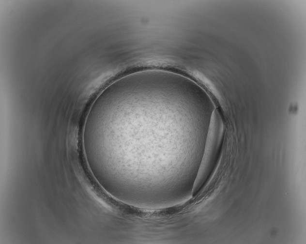 X0000092100581200709191308