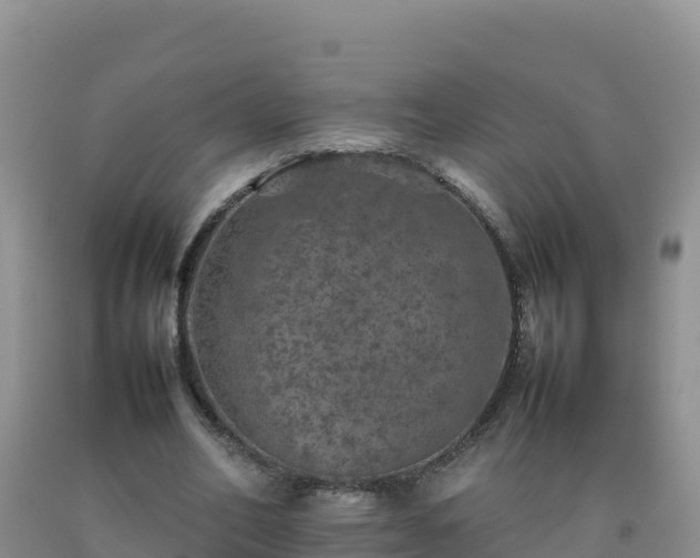 X0000092100582200709191308