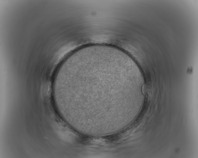 X0000092100583200709191308