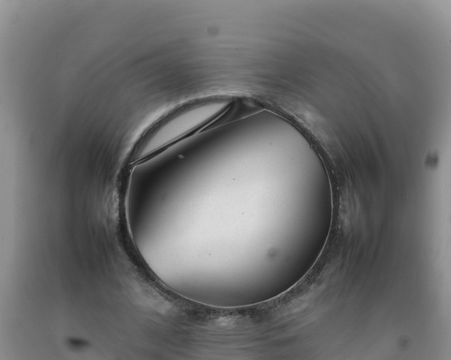 X0000092100584200709191308