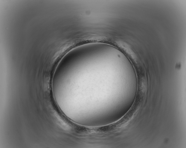 X0000092100585200709191308