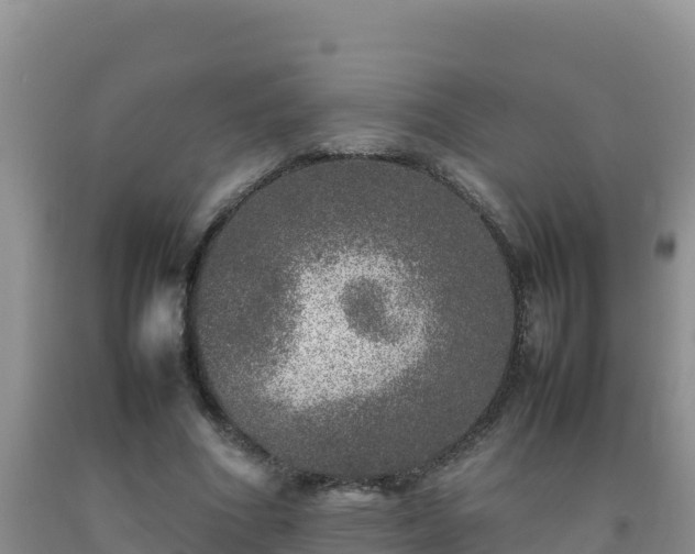 X0000092100586200709191308