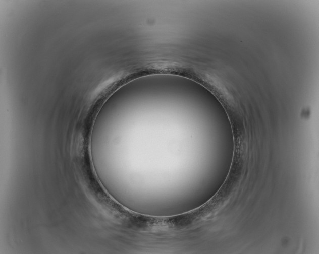 X0000092100587200709191308