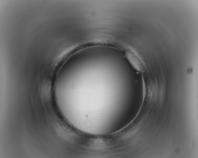 X0000092100588200709191308