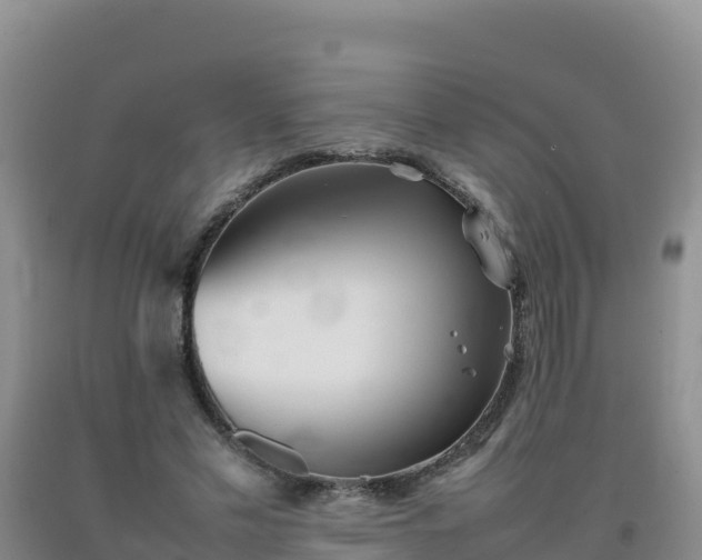 X0000092100589200709191308