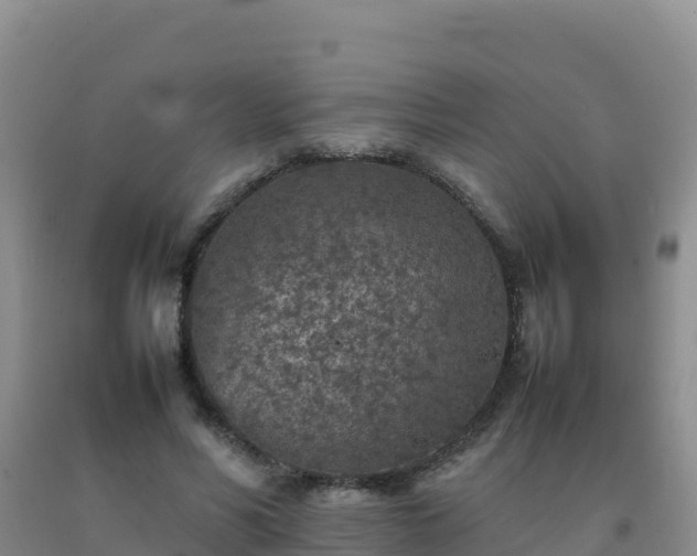 X0000092100590200709191308