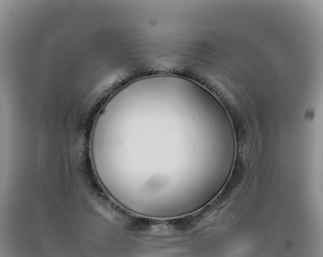 X0000092100591200709191308