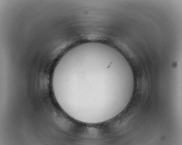 X0000092100592200709191308