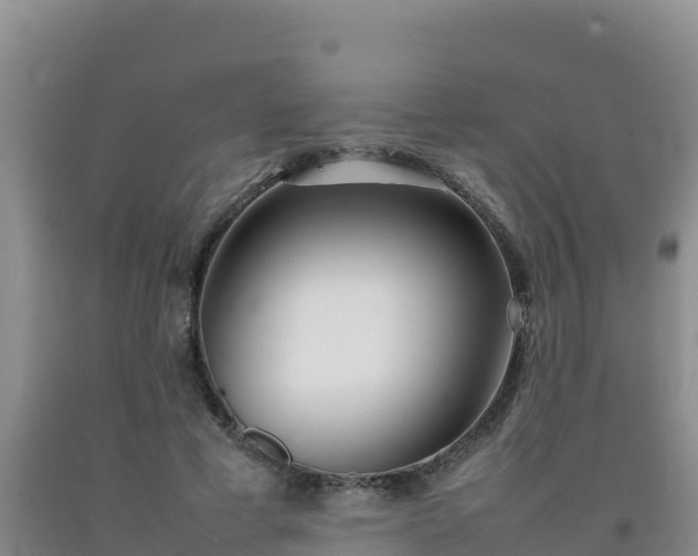 X0000092100593200709191308