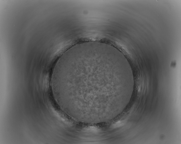 X0000092100594200709191308