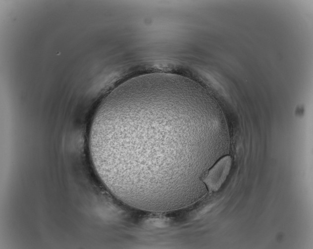 X0000092100595200709191308