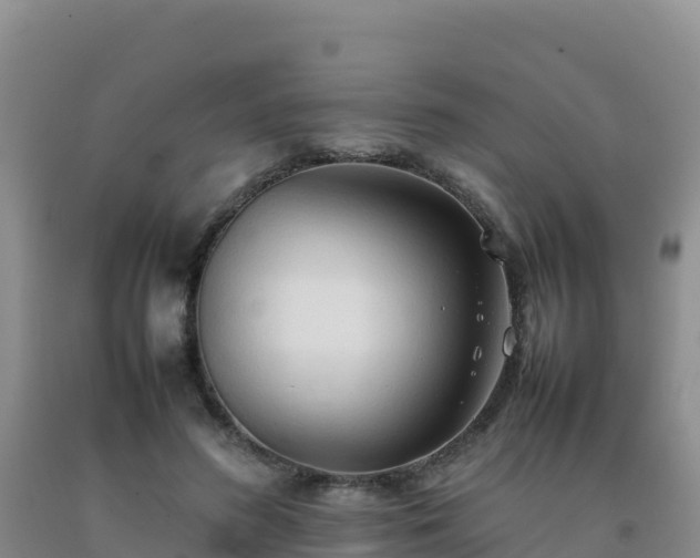 X0000092100596200709191308