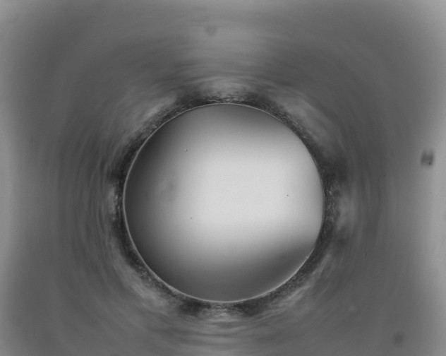 X0000092100597200709191308