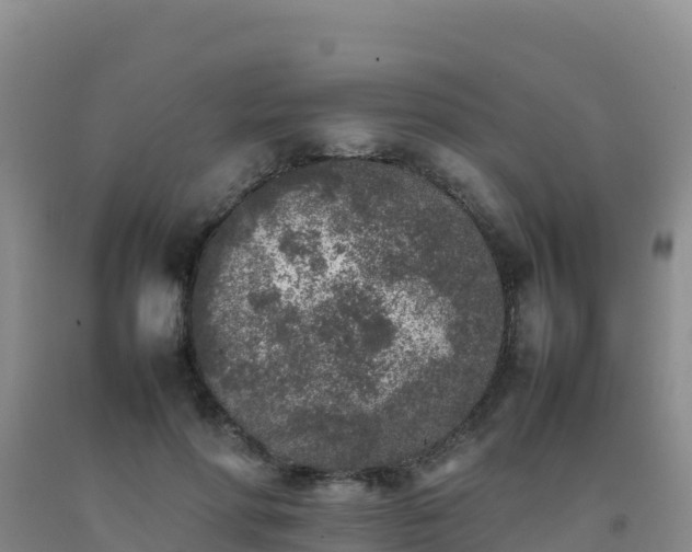 X0000092100598200709191308