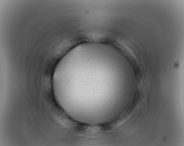 X0000092100599200709191308