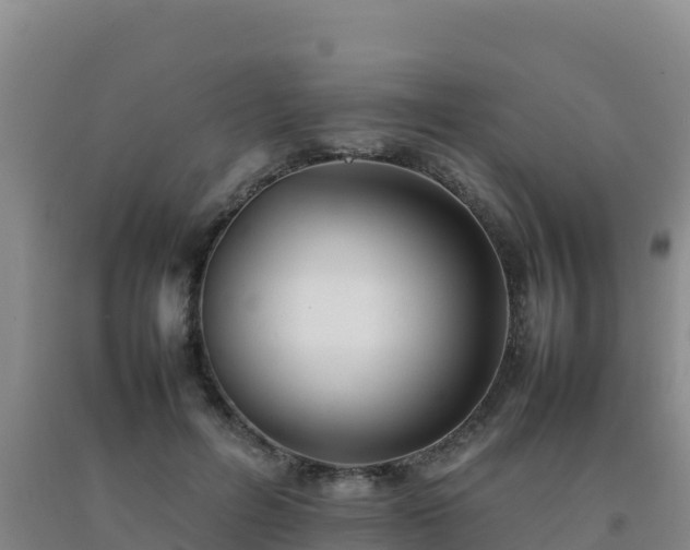 X0000092100600200709191308