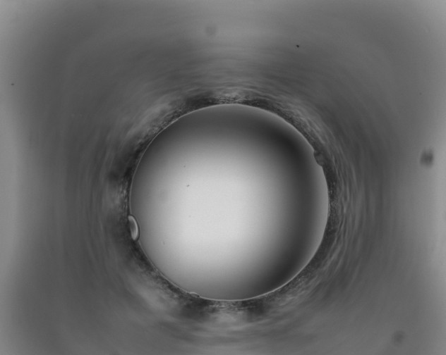 X0000092100601200709191308