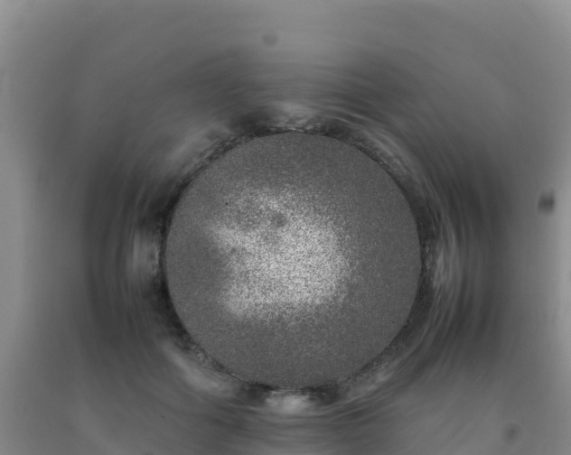 X0000092100602200709191308