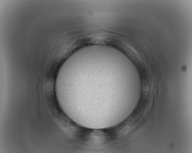 X0000092100603200709191308