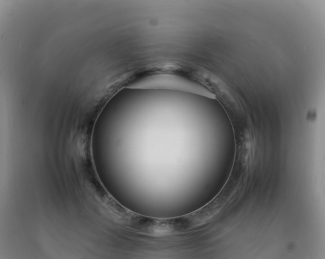 X0000092100604200709191308