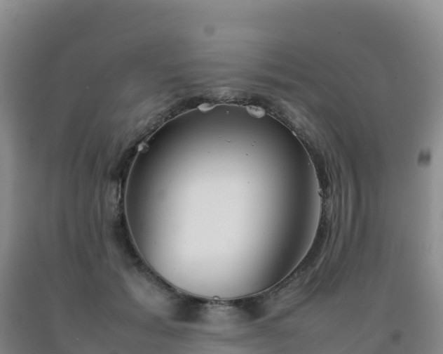 X0000092100605200709191308