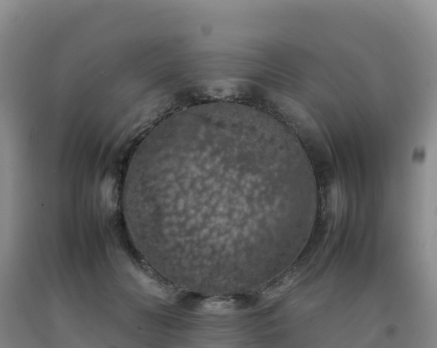 X0000092100606200709191308