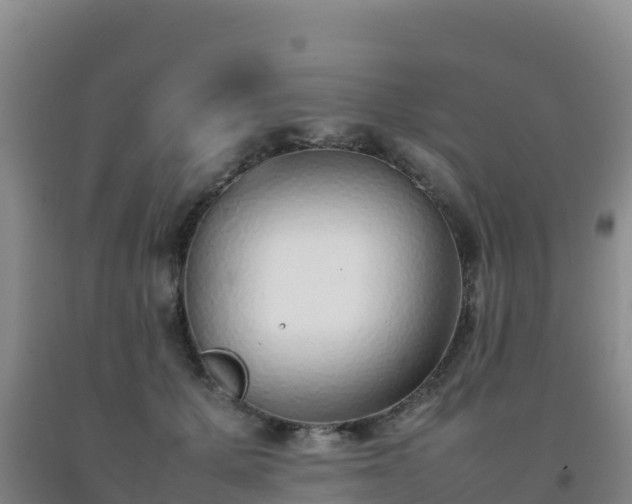 X0000092100607200709191308