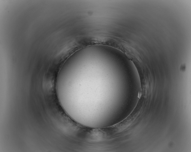 X0000092100608200709191308