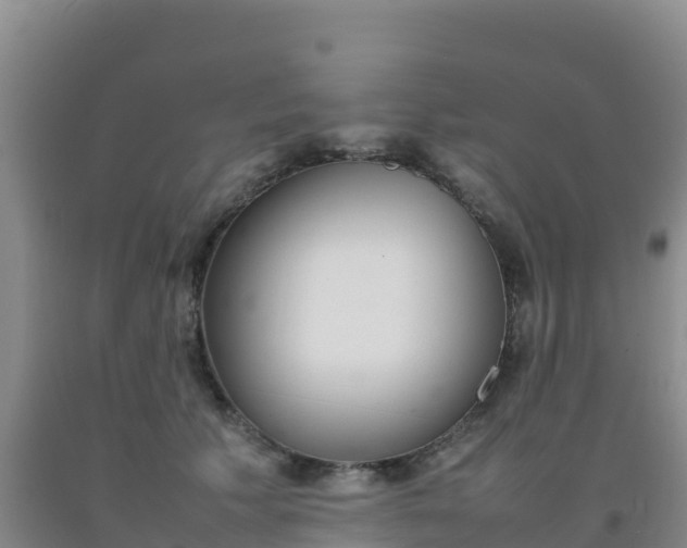 X0000092100609200709191308