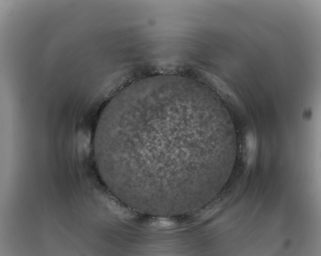 X0000092100610200709191308