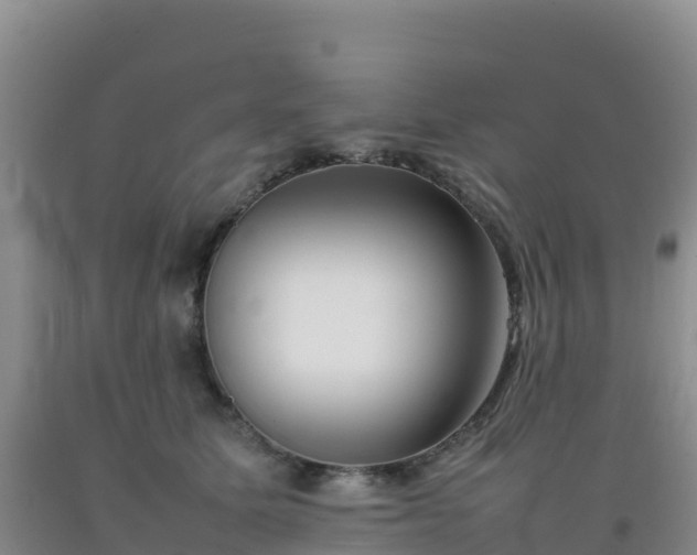 X0000092100611200709191308