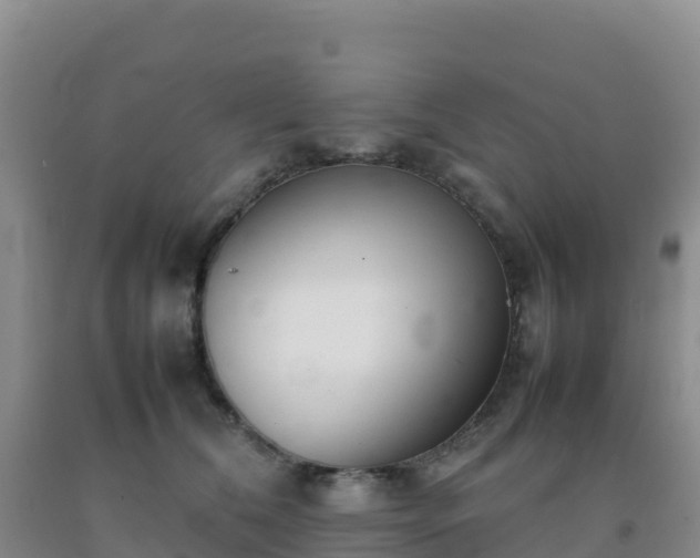 X0000092100612200709191308