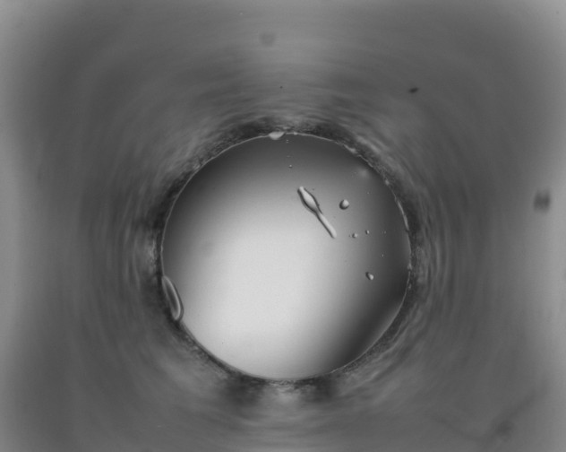 X0000092100613200709191308