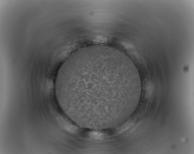 X0000092100614200709191308