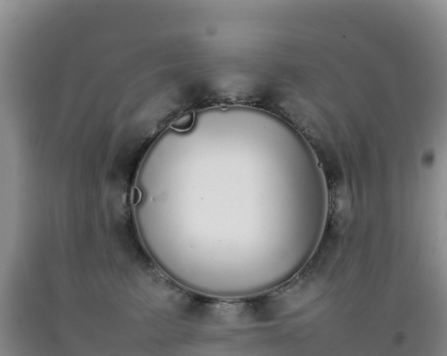 X0000092100615200709191308