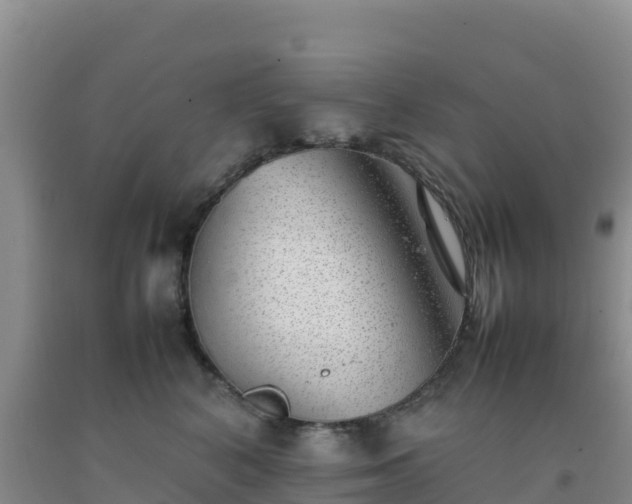 X0000092100616200709191308