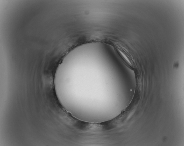 X0000092100617200709191308