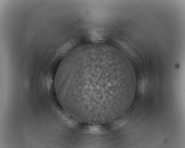 X0000092100618200709191308