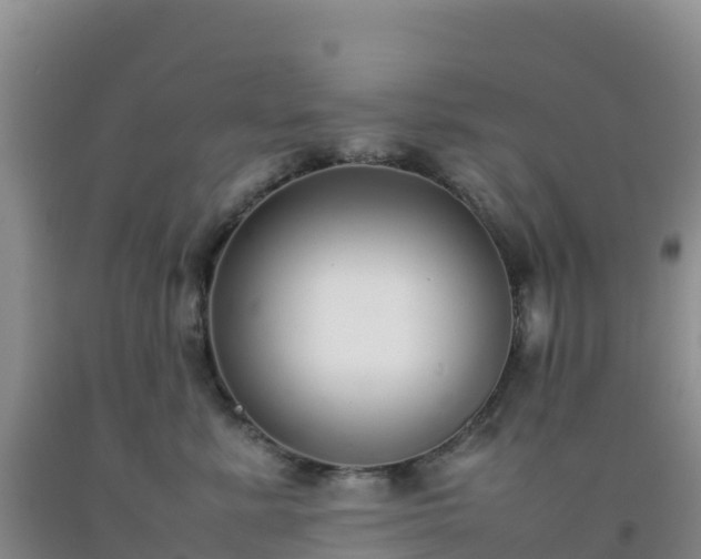 X0000092100619200709191308