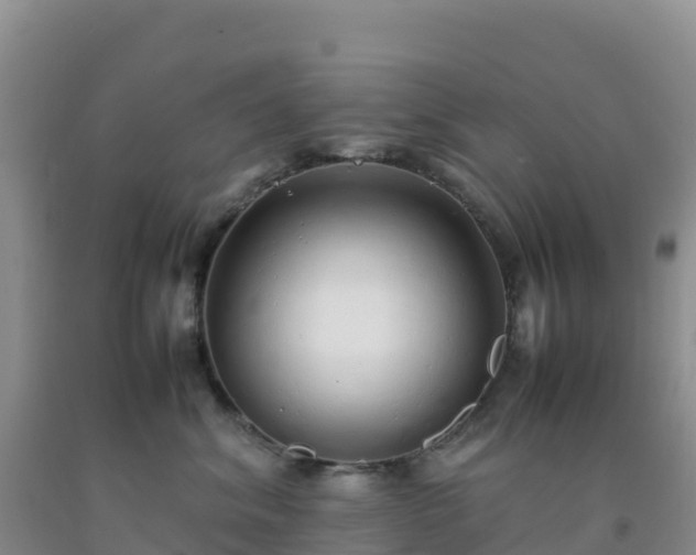 X0000092100620200709191308